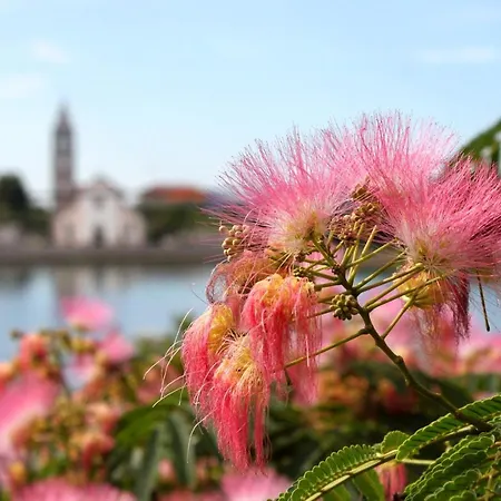 By The Sea - 8295 アパート *